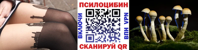 мега рабочий сайт  Нерчинск  Псилоцибиновые грибы Magic Shrooms 