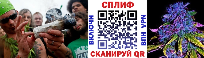Каннабис гибрид  Нерчинск 